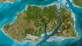 tile-basemap